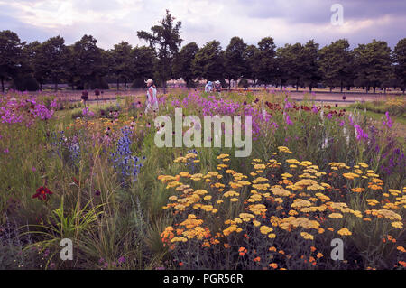 Farbenfrohe Sommer-Border-Bepflanzung durch den berühmten Gartendesigner Piet Oudolf beim RHS Hampton Court Palace Garden Festival / Flower Show, Surrey, UK. Stockfoto