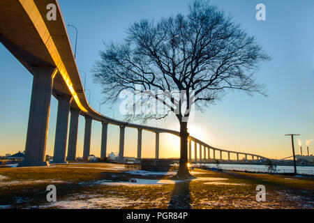 Ein schlafendes Baum in einer verschneiten Landschaft entlang der Elizabeth River und vor der Jordan Brücke in Chesapeake Virginia Stockfoto