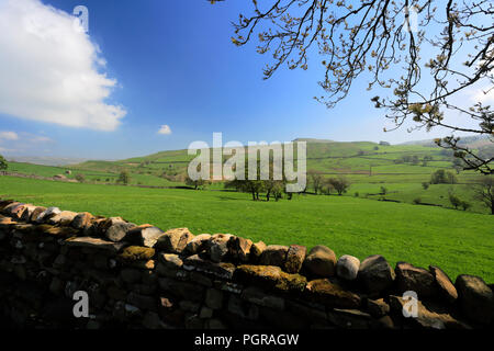 Blick über Wiesen in Raydale, Yorkshire Dales National Park, England, Großbritannien Stockfoto