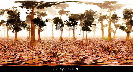 HDRI-Map, sphärischen Umwelt panorama Natur Hintergrund, nebligen Wald Lichtquelle Rendering (3D-Rendering) equirectangular Stockfoto