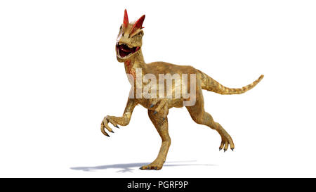 Dilophosaurus, theropode Saurier aus der frühen Kreidezeit (3D-Darstellung mit Schatten auf weißem Hintergrund) Stockfoto