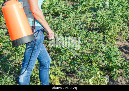 Bauer ist der Schutz Kartoffeln Pflanzen aus pilzlichen Krankheiten oder Schädlinge mit Druck Sprüher im Garten Stockfoto