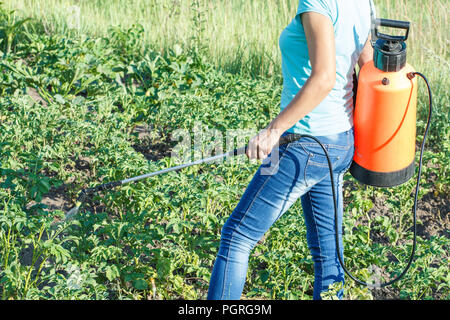 Gärtner ist der Schutz Kartoffeln Pflanzen aus pilzlichen Krankheiten oder Schädlinge mit Druck Sprüher im Garten Stockfoto