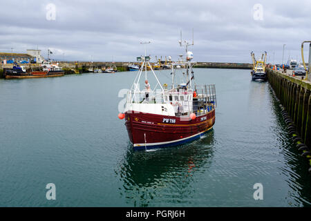 Fischtrawler Boot wieder in Newlyn Harbour. In Newlyn, Cornwall, England. Juni 2018 20. Stockfoto