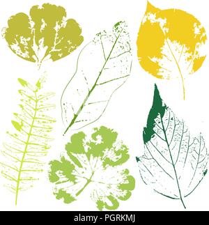 Vektor Zweige und Blätter. Hand gezeichnet floralen Elementen. Vintage monochrome botanischen Abbildung. Stock Vektor