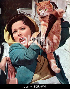 Auge der Katze, alias: Grüne Augen in der Nacht, USA 1969, Regie: David Lowell Rich, Darsteller: Eleanor Parker, Katze Stockfoto