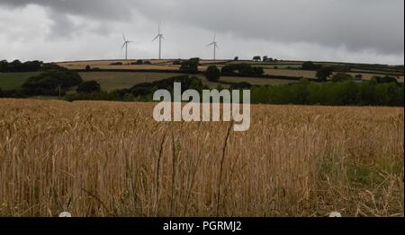 Schöne Zeit bei Wimberball Seen Stockfoto