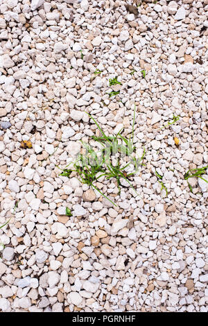 Tan, Weiße und graue Felsen kies Kies mit unscharfen bokeh Hintergrund Kanten und Nahaufnahme Detail für Zufahrten, Landschaftsgestaltung, und Französisch Abflüsse Stockfoto