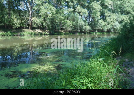 Der Fluss Ipoly oder Ipel in der Nähe der ungarischen Stadt Szob, bildet die Grenze zwischen Ungarn und der Slowakei und ist ein Nebenfluss der Donau. Stockfoto