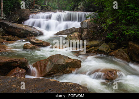 Wasserfälle von Decker Creek, einem kleinen Gebirgsbach fließt über große Felsbrocken unter einer Überdachung der Rhododendron. Stockfoto