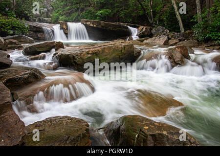 Wasserfälle von Decker Creek, einem kleinen Gebirgsbach fließt über große Felsbrocken unter einer Überdachung der Rhododendron. Stockfoto