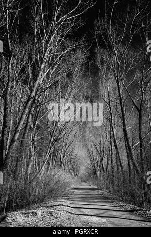 Schwarz-weiß Foto. zugefrorenen Fluss im Frühjahr Stockfoto