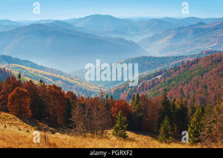 Spektakuläre Aussicht auf die Hügel von Smoky Mountain Range in rot, orange und gelb Laubwald bedeckt und grünen Pinien unter blauen wolkenlosen Himmel o Stockfoto