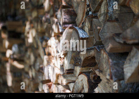 Gestapeltes Brennholz geerntet für den Winter. Ländliche Landschaft. Blur Hintergrund Stockfoto