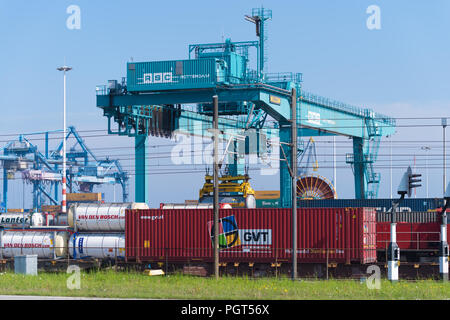 ROTTERDAM, Niederlande - 6. Mai 2017: Die kranverladung Container auf einem Zug im Rotterdamer Hafen Stockfoto