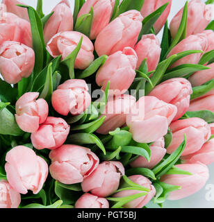 Huge bouquet of fresh red tulips flowers close-up as beautiful natural background Stockfoto