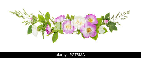 Horizontale dekorative Komposition im Retro-Stil, bestehend aus rosa und weiß wild rose Blumen mit grünen Blättern auf weißem Hintergrund. Top vi. Stockfoto