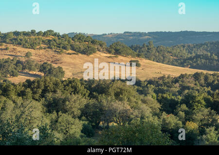 Am frühen Morgen Landschaft in ländlichen Landschaft, Berge und Eichen, blauer Himmel, trockenen südlichen Kalifornien Landschaft Stockfoto