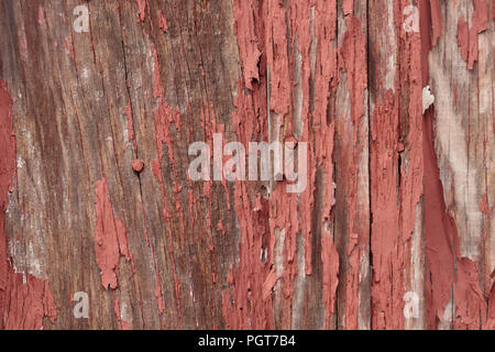 Detail eines alten, Peeling roter Farbe auf kleinen, Wald, Gebäude Hintergrund Stockfoto
