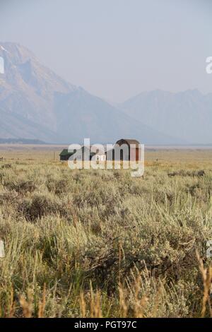 Die Thomas Murphy Scheune in der Grand Teton National Park Stockfoto