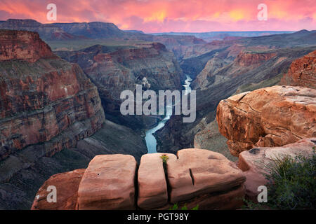 Colorado River von Toroweap übersehen, Grand Canyon NP Stockfoto