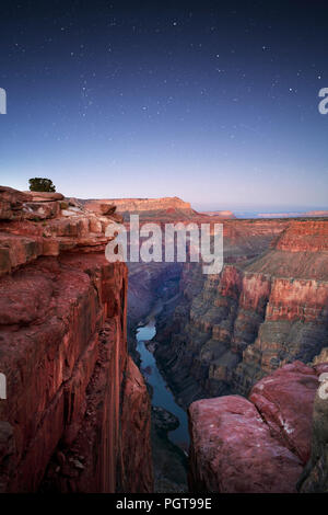 Colorado River von Toroweap übersehen, Grand Canyon NP Stockfoto