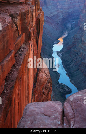 Colorado River von Toroweap übersehen, Grand Canyon NP Stockfoto