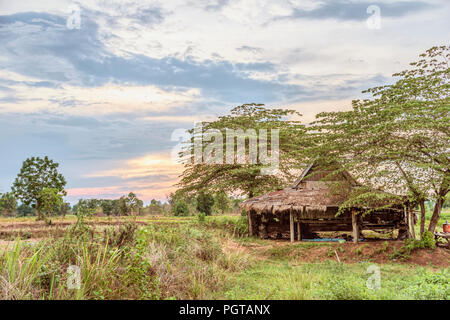 Ackerland bei der Khorat-Hochebene nach der Ernte, Thailand Stockfoto