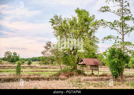 Ackerland bei der Khorat-Hochebene nach der Ernte, Thailand Stockfoto