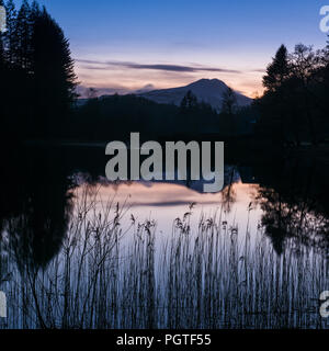 Auf der Suche nach Ben Lomond aus Loch Ard in die Trossachs National Park bei Sonnenuntergang Stockfoto