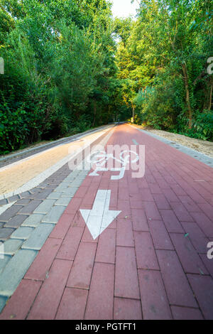 Radweg durch den Wald Stockfoto