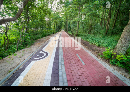 Radweg durch den Wald Stockfoto