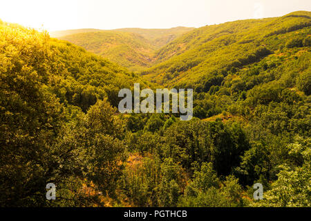 Landschaft von Tal von Jerte in der Extremadura, Spanien. Sicht auf die Berge voller Vegetation, an einem sonnigen Tag mit viel Sonnenlicht. Stockfoto