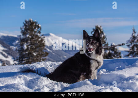 Ayla im Winter Stockfoto