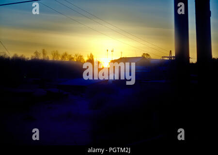 Taiga. Sonnenuntergang. Winter. Stockfoto