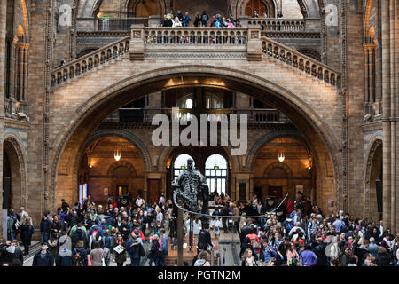 Die Masse um diplodocus Skelett in der Großen Halle des Natural History Museum London Stockfoto