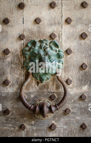 Antike Grünspan verwittertem Messing/Bronze löwenkopf Türklopfer auf heavy duty verziertes Holz Tür zu historischen Gebäude Eingang Stockfoto