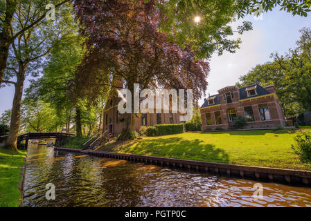 Kirche unter hohen Bäumen in Giethoorn, Niederlande Stockfoto