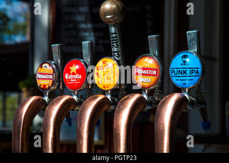 Bier zapfen an einer Bar (Fjäderholmarna, Stockholm, Schweden) Stockfoto