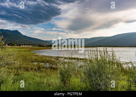 Salmon Arm Bay, Salmon Arm, British Columbia, Kanada Stockfoto