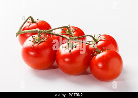 Tomaten auf der Rebe auf weißem Hintergrund. Stockfoto