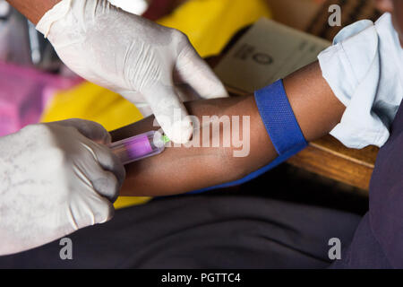 Einen Gesundheit Arbeiter durch Entnahme einer Blutprobe aus dem Cubital vein von Piercing die Vene und Sammeln von Blut in ein Reagenzglas mit Unterdruck Stockfoto