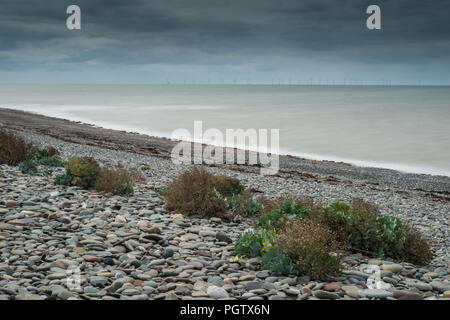 Die verlassenen westliche Küste und Strand von Walney Island vor der Küste von Cumbria im Sommer mit langen Belichtung auf das Meer und Kieselstrand. Stockfoto