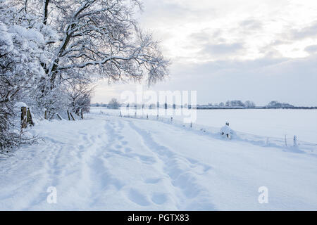 Ländliche Winterschneeszene in lincolnshire großbritannien Stockfoto