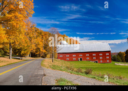 Herbst scenic einer Straße zurück mit farbenfrohen Ahornbäumen und eine alte rote Barde mit augenbraue Windows auf dem Weg zu Peacham, Vermont, United States gesäumt. Stockfoto