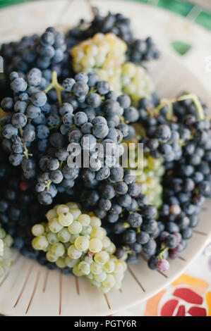 Rot- und Weißwein Rebsorten auf einer Platte Stockfoto