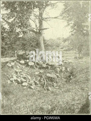 "Genealogische und Familiengeschichte des Staates Maine;' (1909 Stockfoto