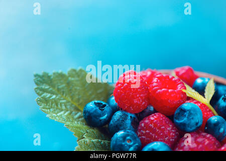 Himbeeren und Blaubeeren mit grünen Blättern. Sommer berry Ernte makro Konzept mit Kopie Raum Stockfoto