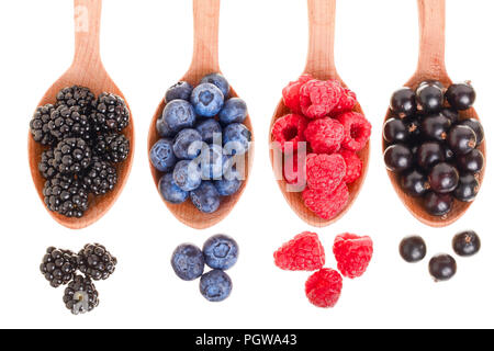 Blackberry Heidelbeere Himbeere schwarze Johannisbeere in hölzernen Löffel auf weißem Hintergrund. Ansicht von oben. Eingestellt oder Sammlung Stockfoto