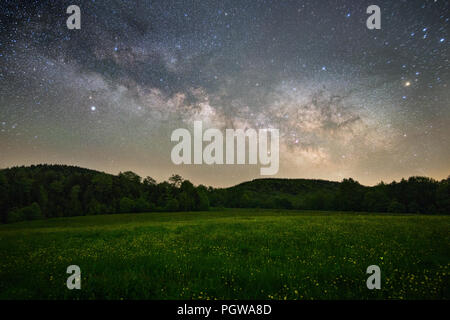 Feuer fliegt Rest unter den gelben Wildblumen unter der Milchstraße in Kaffee Creek Wiese entlang der West Virginia Highland Scenic Highway. Stockfoto